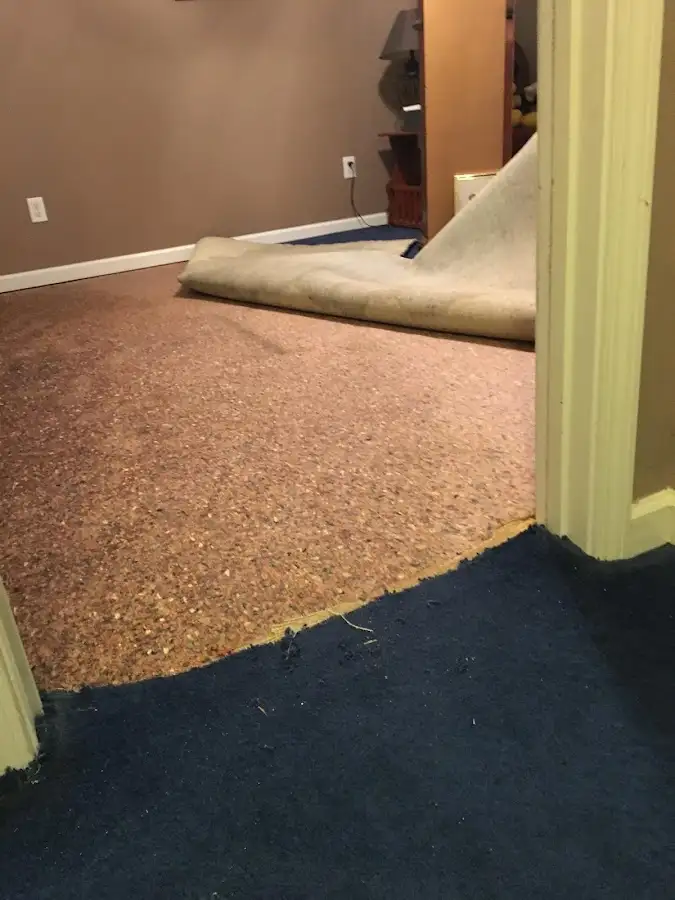 Carpet pad removal revealing water damage during Drying & Dehumidification in Delhi