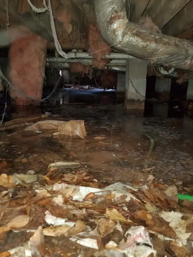 Crawl space flood assessment for Commercial Water Damage Restoration in Delhi